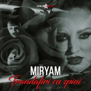 Miryam - Trandafiri cu spini 800x800