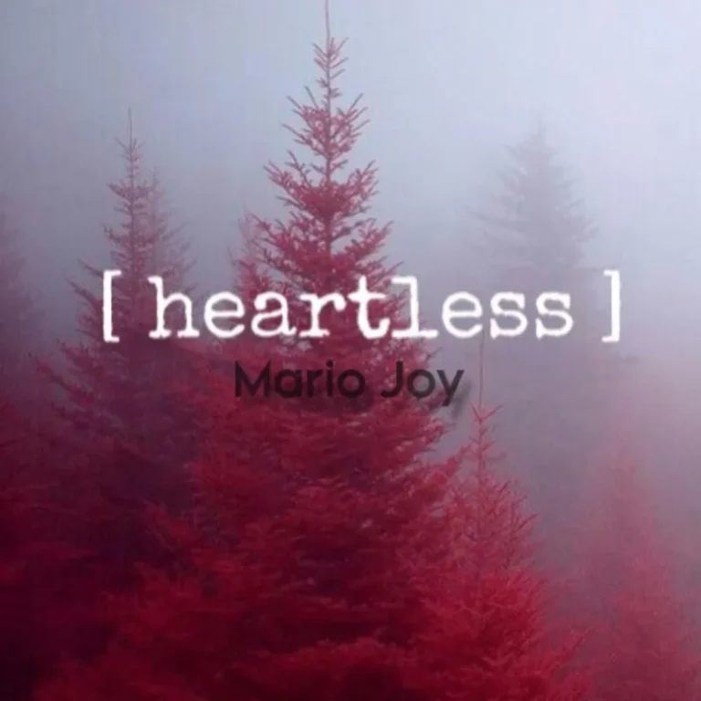 MARIO JOY - Heartless